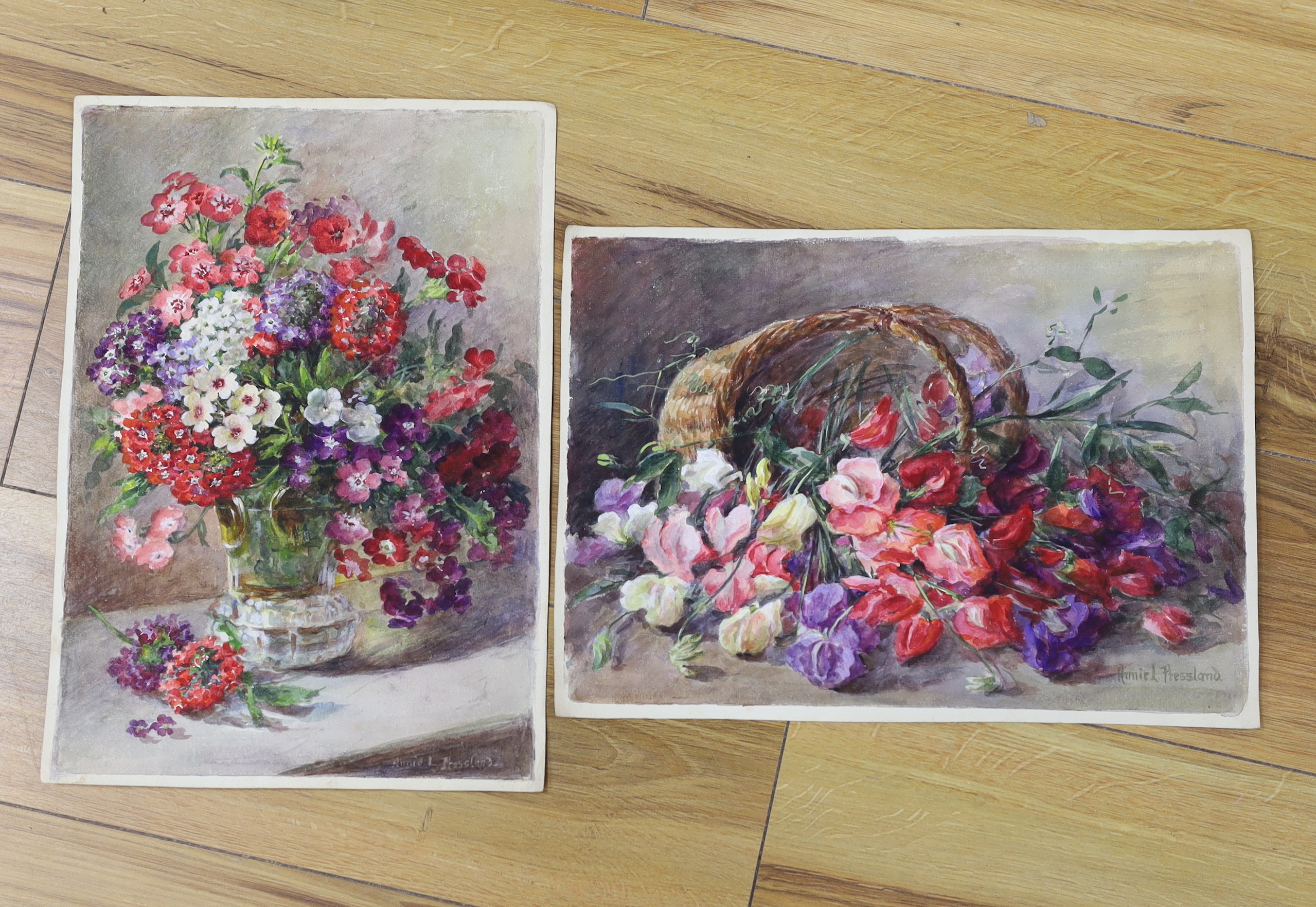 Annie L Pressland (1862-1933) two watercolours on card, still life’s of flowers, signed, 26 x 36cm